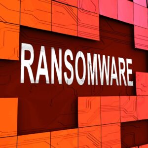 Wooden Spoon | Paying Ransomware Scams